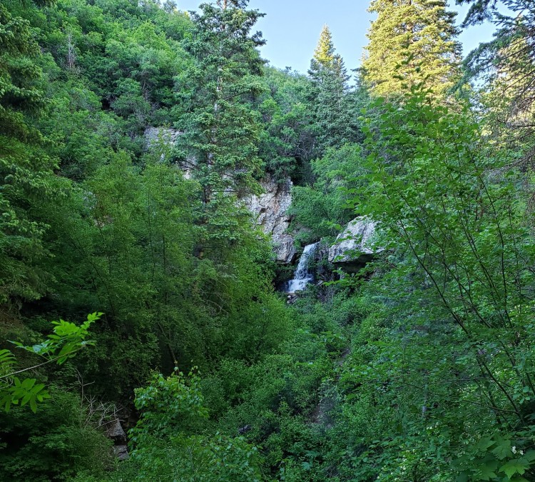 Centerville Canyon Trail Waterfalls (Bountiful,&nbspUT)